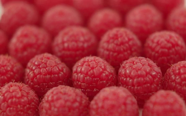 food raspberry HD Desktop Wallpaper | Background Image