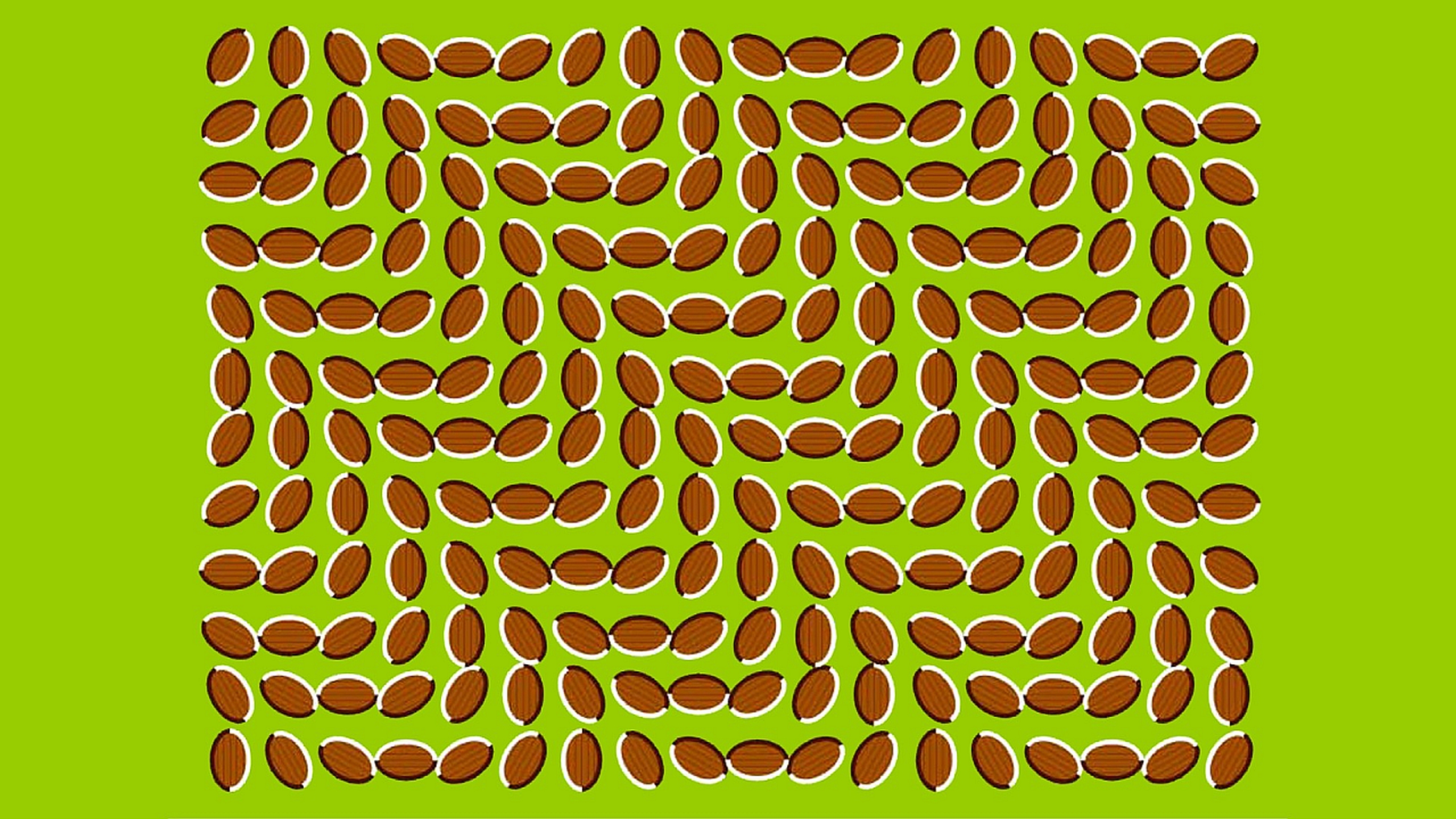 Artistic Illusion HD Wallpaper | Background Image