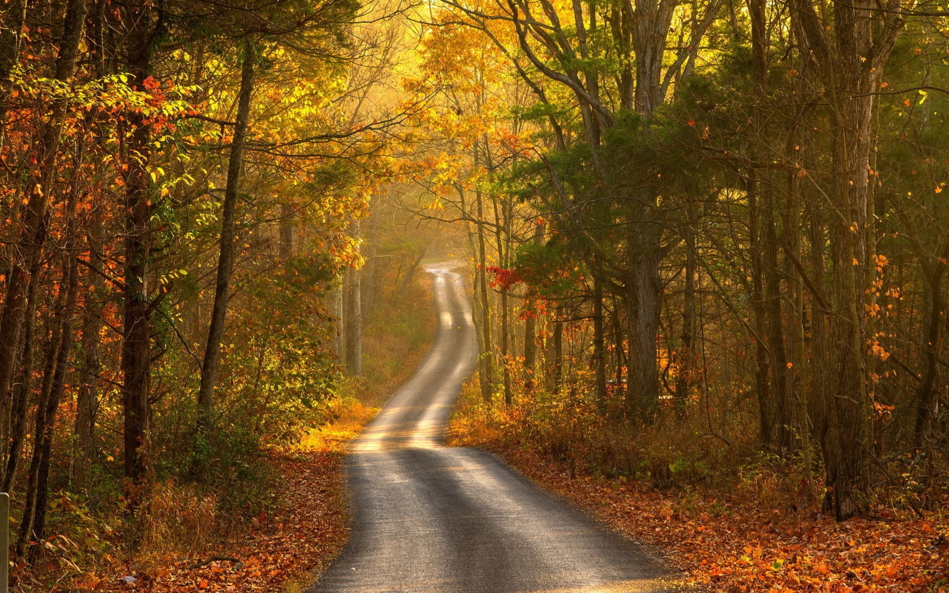 Road HD Wallpaper | Background Image | 1920x1200