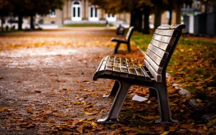 man made bench HD Desktop Wallpaper | Background Image