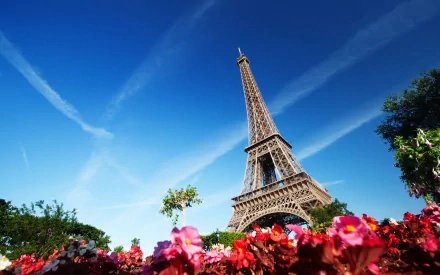 HD desktop wallpaper featuring the Eiffel Tower in Paris, set against a clear blue sky with vibrant flowers in the foreground.