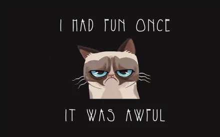 HD desktop wallpaper featuring a grumpy cat with the text I had fun once, it was awful in a humorous font.