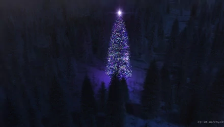 christmas tree holiday Christmas HD Desktop Wallpaper | Background Image