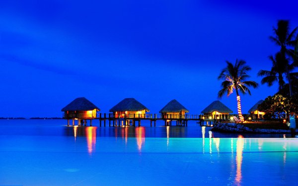 Photography Tropical Horizon Twilight Palm Tree Azure HD Wallpaper | Background Image