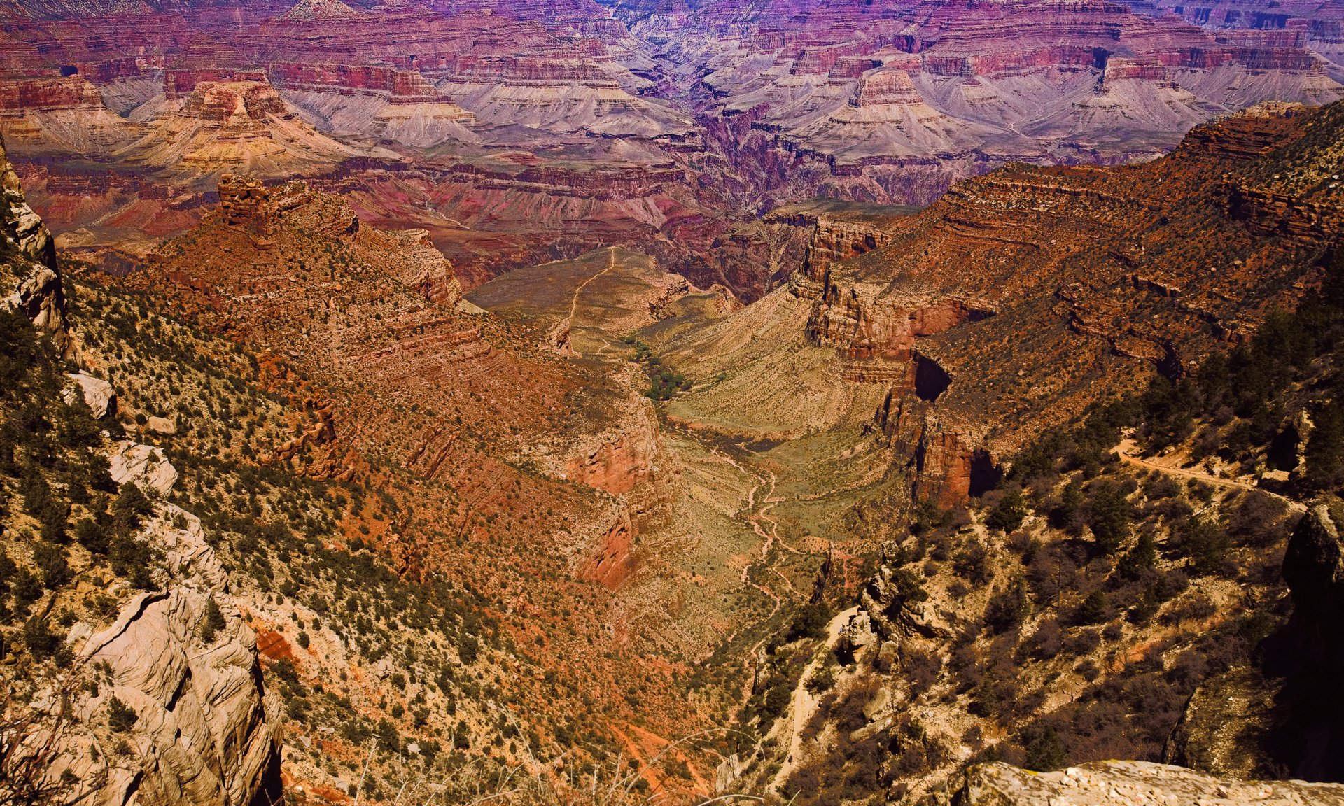 HD PC desktop wallpaper: nature panorama of the Grand Canyon — layered red-rock cliffs, winding valley and sparse shrubs beneath a vivid, purple-tinged sky.