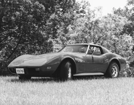 vehicle 1976 corvette Chevrolet Corvette classic car 1976 HD Desktop Wallpaper | Background Image