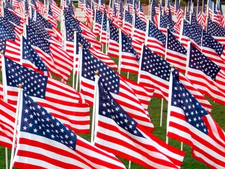 HD desktop wallpaper featuring numerous American flags displayed closely together on a grassy field, showcasing vibrant red, white, and blue colors.