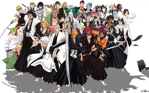 HD desktop wallpaper featuring a diverse group of characters from the anime Bleach, showcasing a wide array of dynamic poses and colorful outfits.