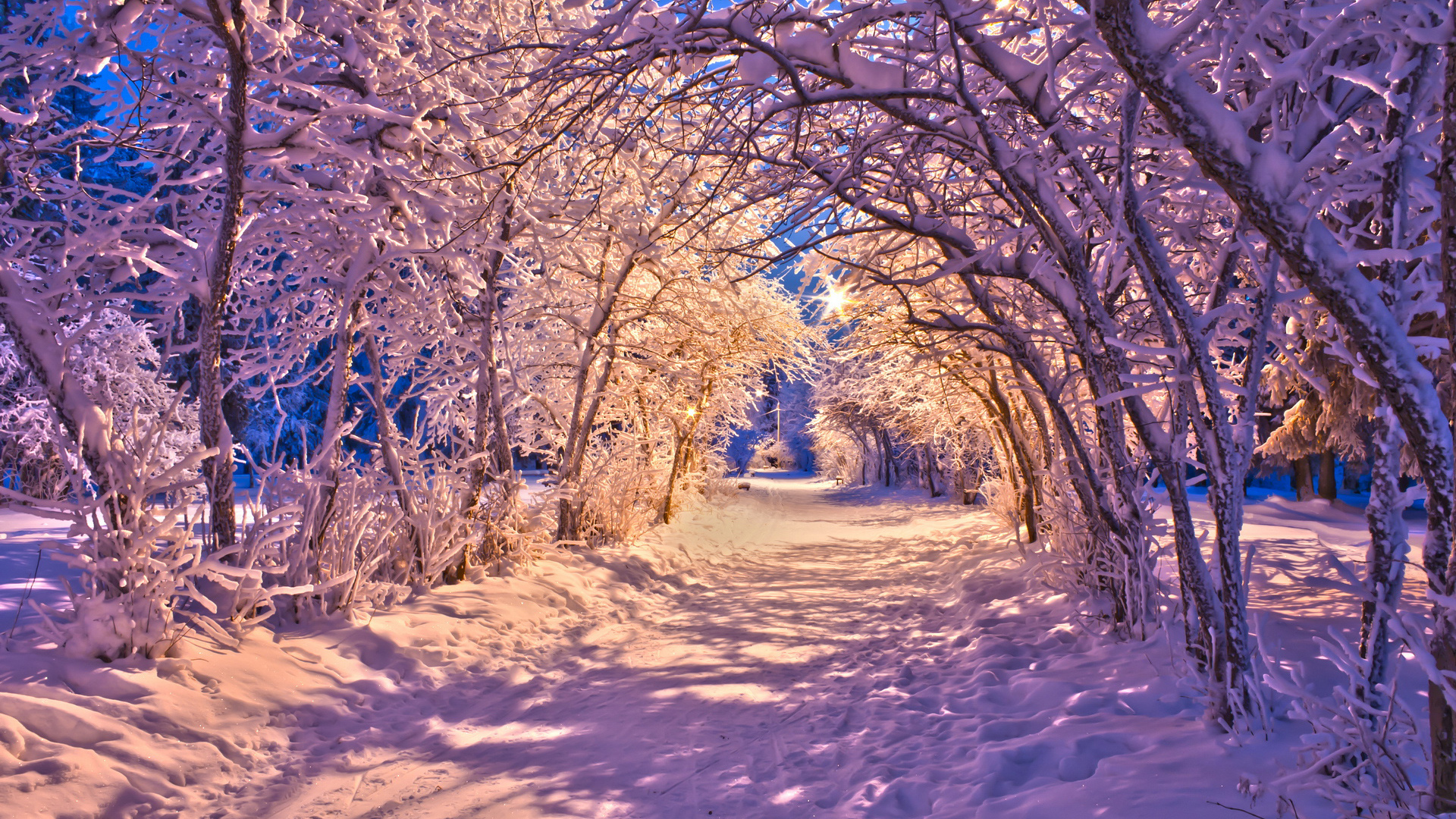 Winter Hd Wallpaper Background Image 19x1080 Id Wallpaper Abyss