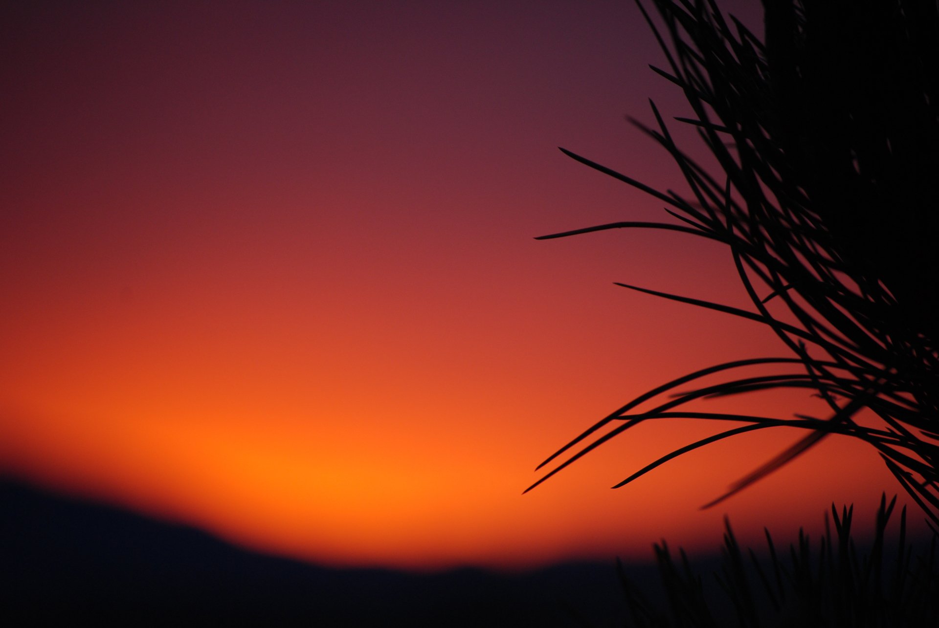 Download Nature Sunset 4k Ultra HD Wallpaper