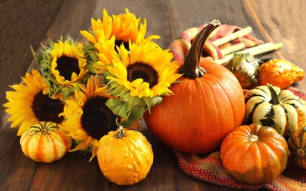 HD PC desktop wallpaper featuring a vibrant arrangement of pumpkins and bright sunflowers on a wooden surface, highlighting autumnal food and seasonal decor.