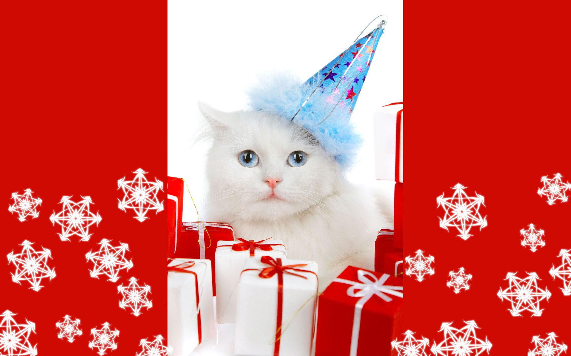 HD PC desktop wallpaper featuring a white cat wearing a blue party hat, surrounded by red and white gift boxes and snowflake patterns on a festive red background.