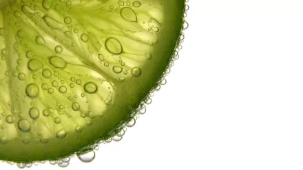food lime HD Desktop Wallpaper | Background Image