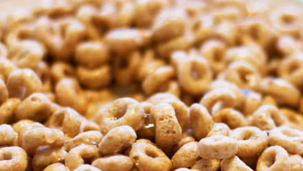 food cereal HD Desktop Wallpaper | Background Image
