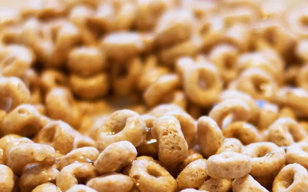 food cereal HD Desktop Wallpaper | Background Image