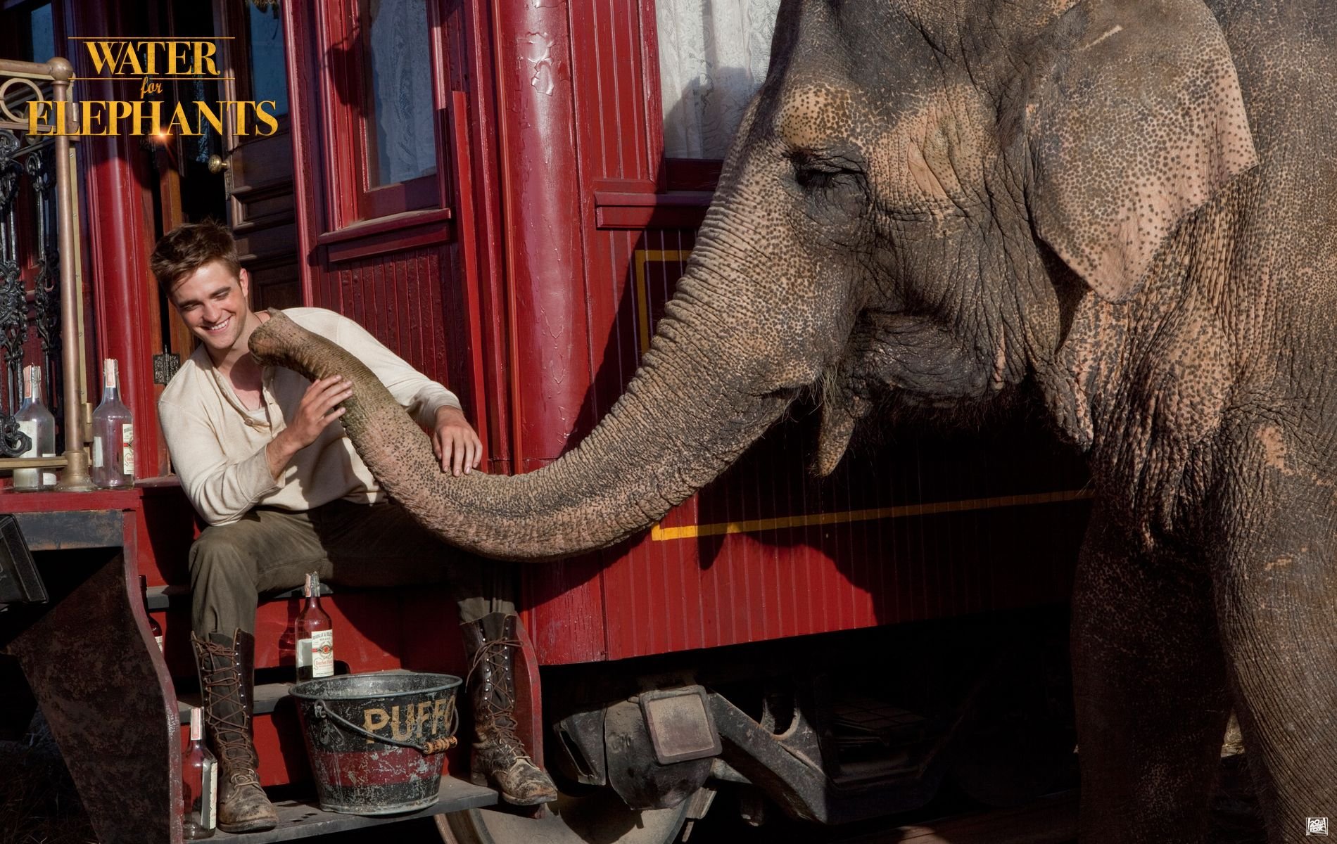 Robert Pattinson interacts with an elephant in a scene from the movie Water for Elephants, set against a vibrant circus backdrop. A captivating HD wallpaper.