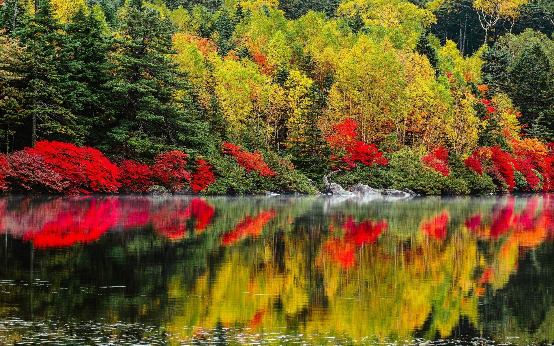 Scenic fall landscape with vibrant autumn leaves reflecting on a calm lake, showcasing nature’s seasonal colors in an HD desktop wallpaper background.