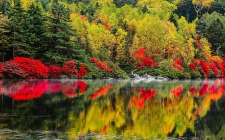 Scenic fall landscape with vibrant autumn leaves reflecting on a calm lake, showcasing nature’s seasonal colors in an HD desktop wallpaper background.
