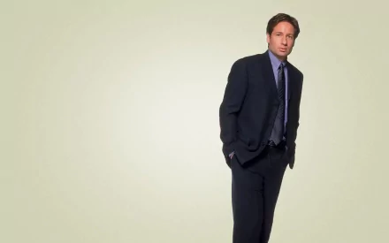 Celebrity David Duchovny HD Desktop Wallpaper | Background Image
