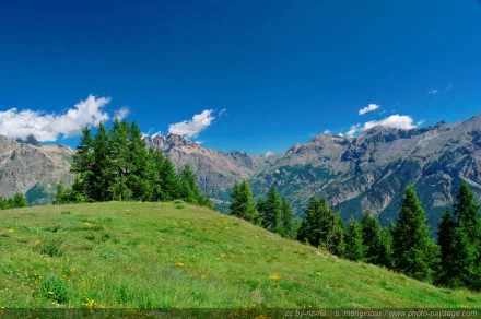 HD PC desktop wallpaper showcasing a vibrant natural landscape with green hills, tall trees, distant rugged mountains, and a clear blue sky with scattered clouds.