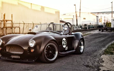 vehicle cobra HD Desktop Wallpaper | Background Image