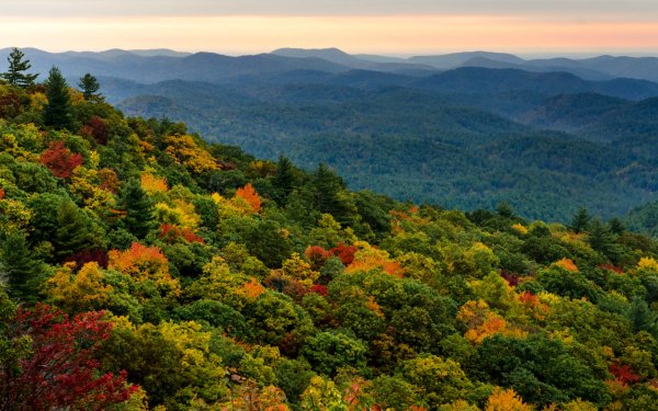 Nature Fall HD Wallpaper | Background Image