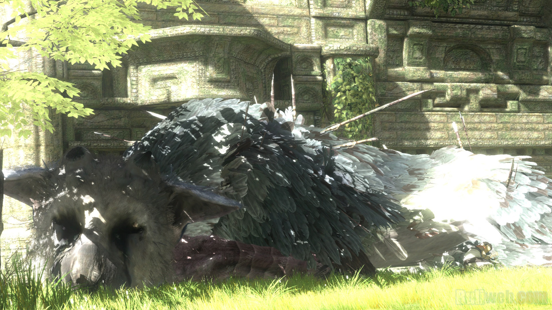 Video Game The Last Guardian HD Wallpaper by TacoSauceNinja