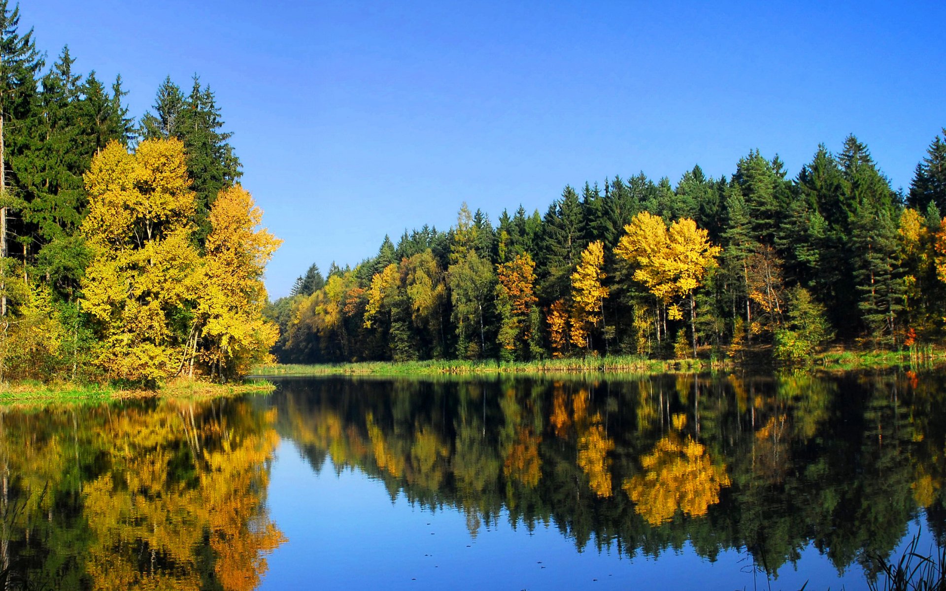HD Nature Reflection: Serene Autumn Trees by the Lake | 2560x1600 ...