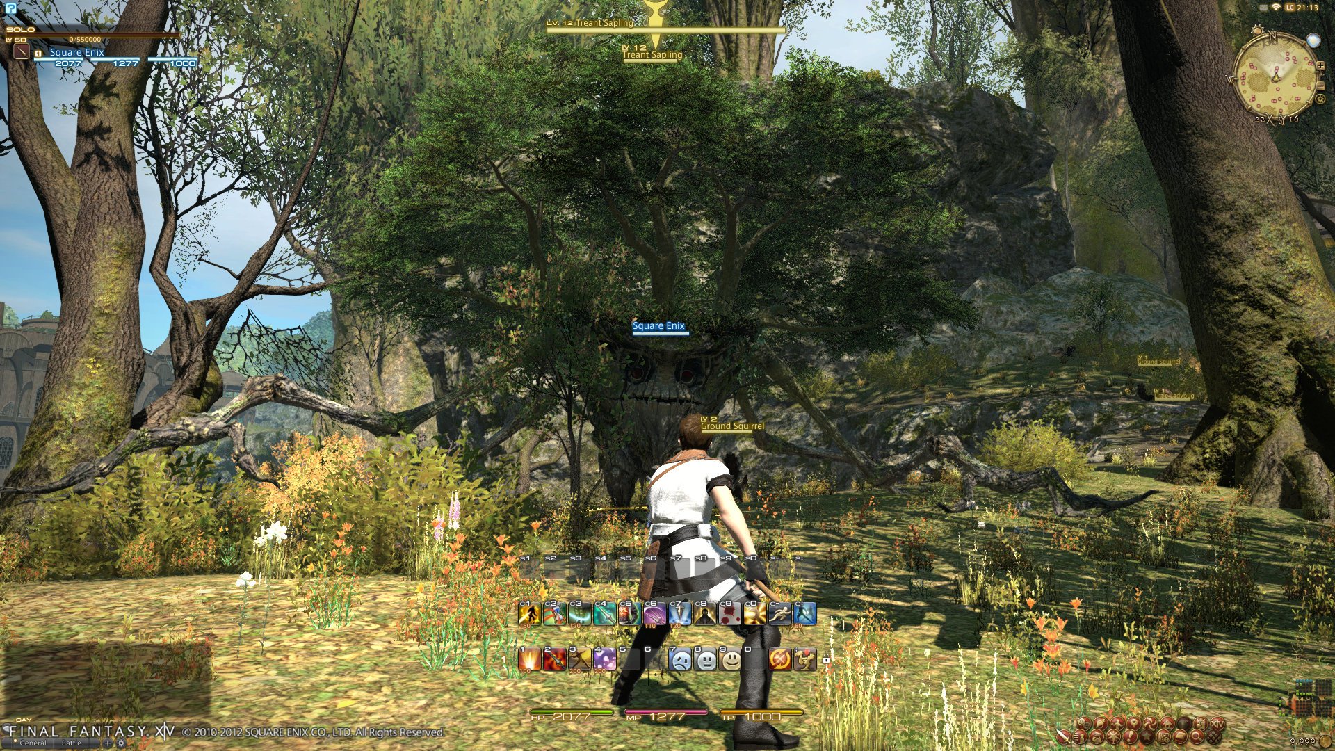 HD desktop wallpaper of Final Fantasy XIV: A Realm Reborn, featuring an adventurer in a lush forest setting.
