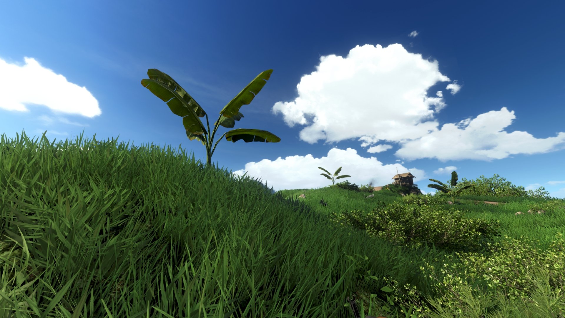 HD desktop wallpaper from Far Cry 3 depicting vibrant green grass, tropical foliage, and a clear blue sky with fluffy clouds.