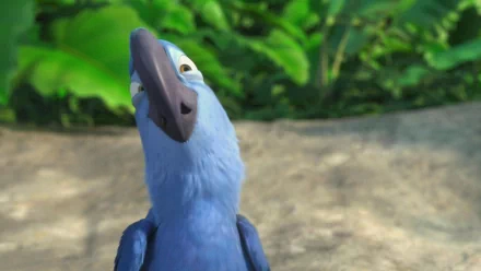 HD wallpaper featuring a blue macaw from the animated movie Rio, with a tropical foliage background.