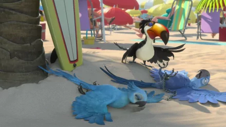 HD Rio-themed desktop wallpaper featuring animated tropical birds on a beach with umbrellas and surfboards.