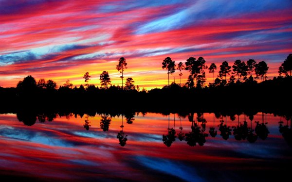 Earth Sunset Tree Colorful Reflection HD Wallpaper | Background Image