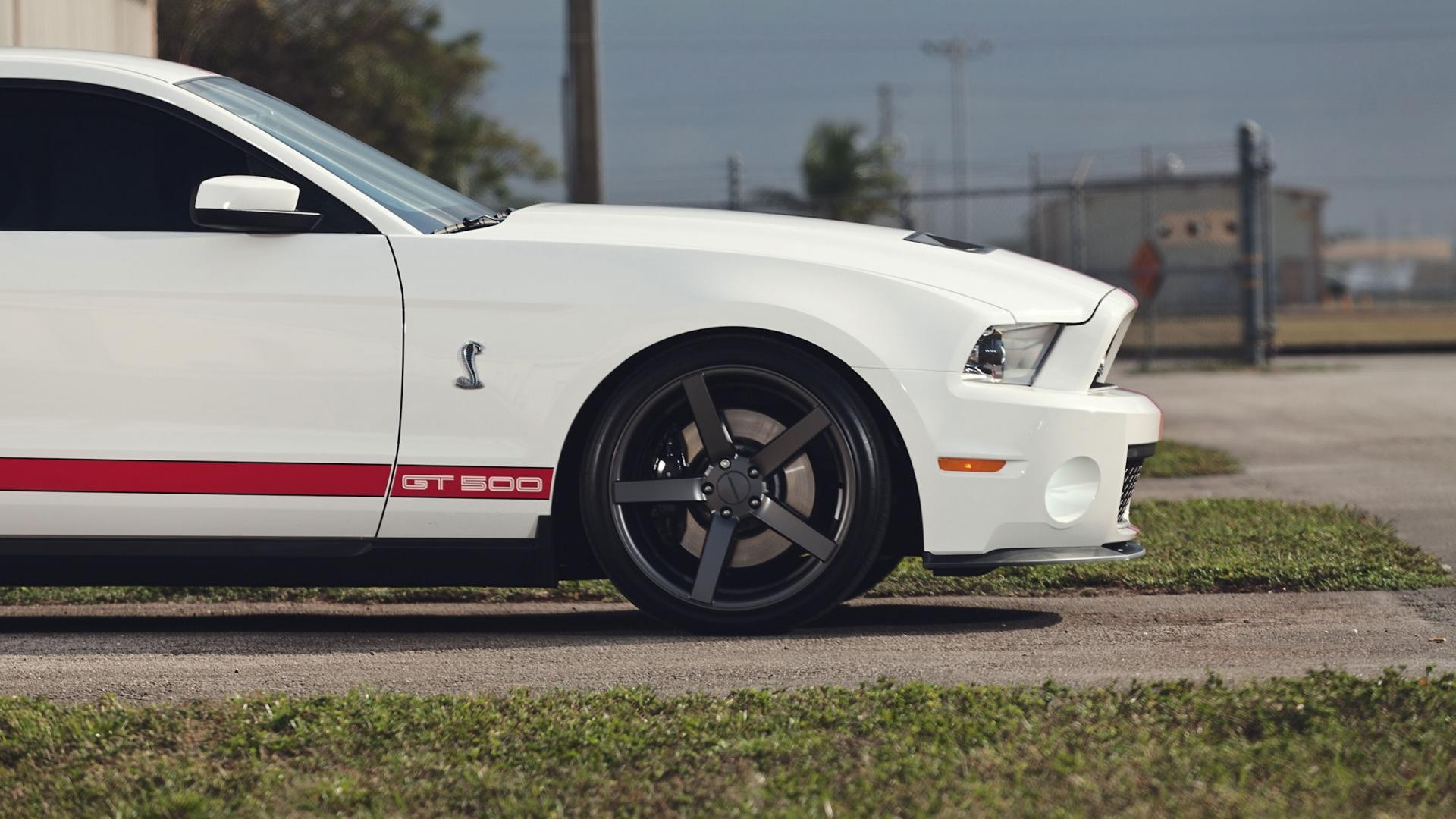 Vehicles Ford Mustang GT500 HD Wallpaper | Background Image