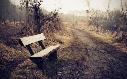 A lone wooden bench sits beside a dirt path in a misty, autumnal landscape, creating a serene and contemplative scene. HD desktop wallpaper and background.