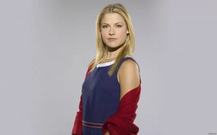 HD PC desktop wallpaper featuring celebrity Ali Larter posing confidently against a plain light gray background.