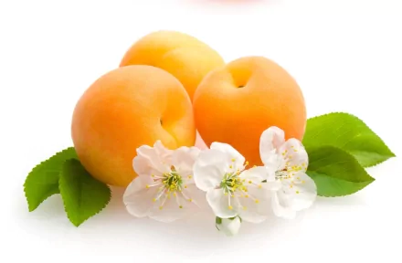 food peach HD Desktop Wallpaper | Background Image