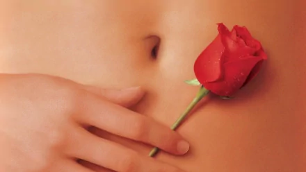 HD PC desktop wallpaper featuring a close-up from the movie American Beauty, showing a hand holding a red rose against bare skin.