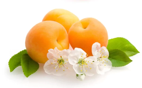 food peach HD Desktop Wallpaper | Background Image