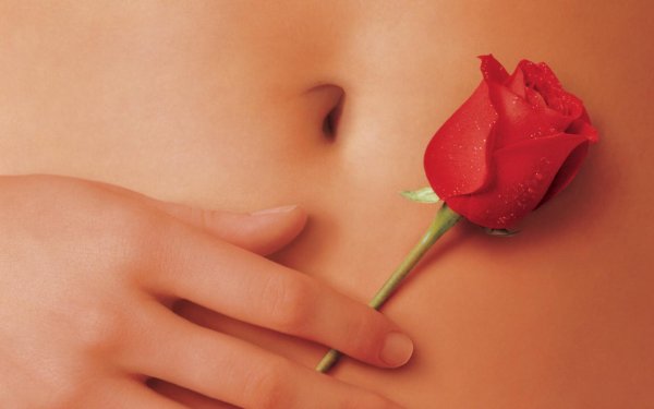 Movie American Beauty HD Wallpaper | Background Image
