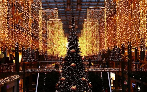 Holiday Christmas Christmas Tree Christmas Lights HD Wallpaper | Background Image
