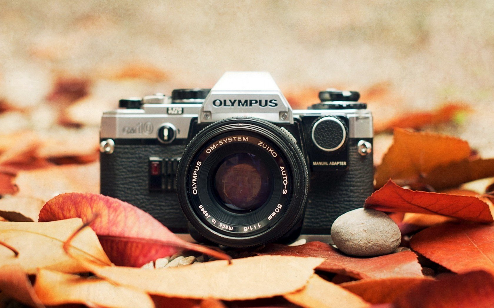 HD desktop wallpaper featuring a man-made Olympus camera resting among autumn leaves, captured with a shallow depth of field for a warm, nostalgic effect.
