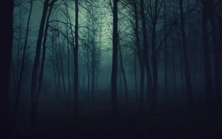 HD desktop wallpaper featuring a dark forest with silhouettes of bare trees and a mysterious, dim light filtering through the fog.