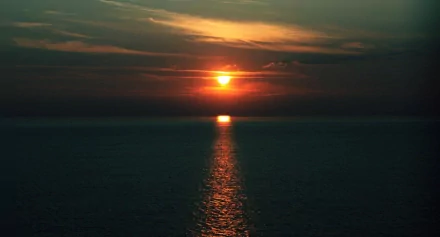  Tomorrow we'll meet again