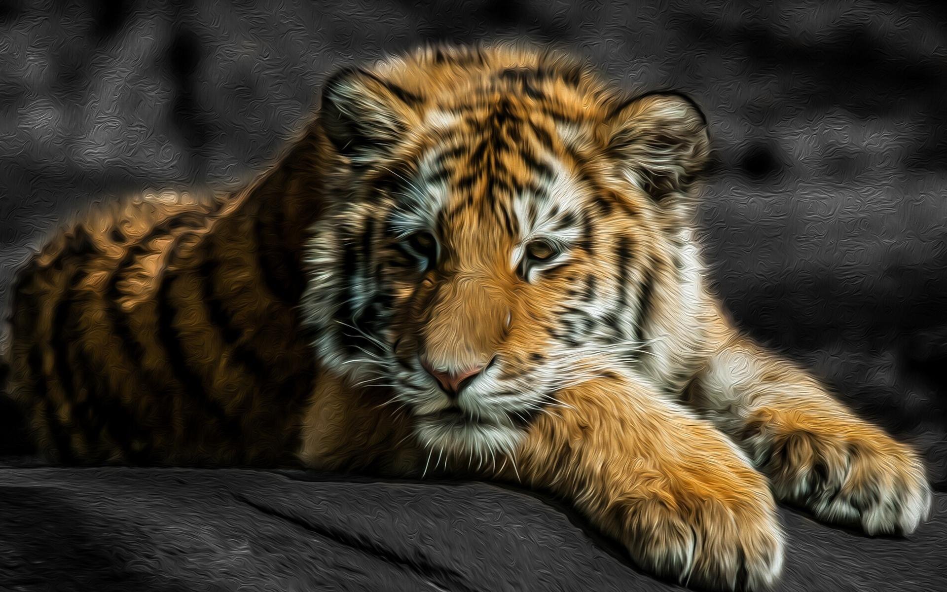 A close-up of a tiger resting on a rock, showcasing its striking fur patterns against a dark background. This HD image serves as a captivating desktop wallpaper.