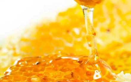 food honey HD Desktop Wallpaper | Background Image