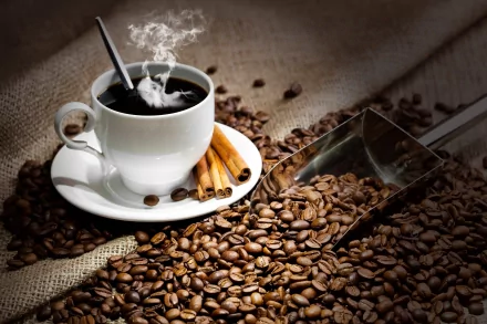 A steaming cup of coffee sits on a white saucer, surrounded by roasted coffee beans and cinnamon sticks, creating a warm, inviting atmosphere for a desktop wallpaper.