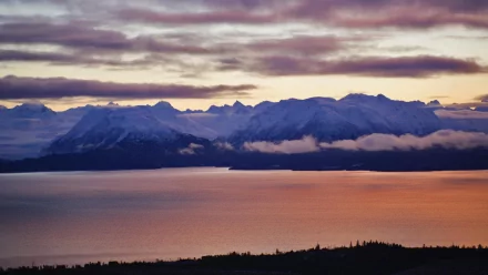 Alaska Homer Simpson nature mountain HD Desktop Wallpaper | Background Image