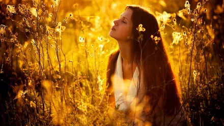 HD PC desktop wallpaper of a woman with long hair surrounded by golden plants, her face lifted in a serene, reflective mood during warm sunlight.