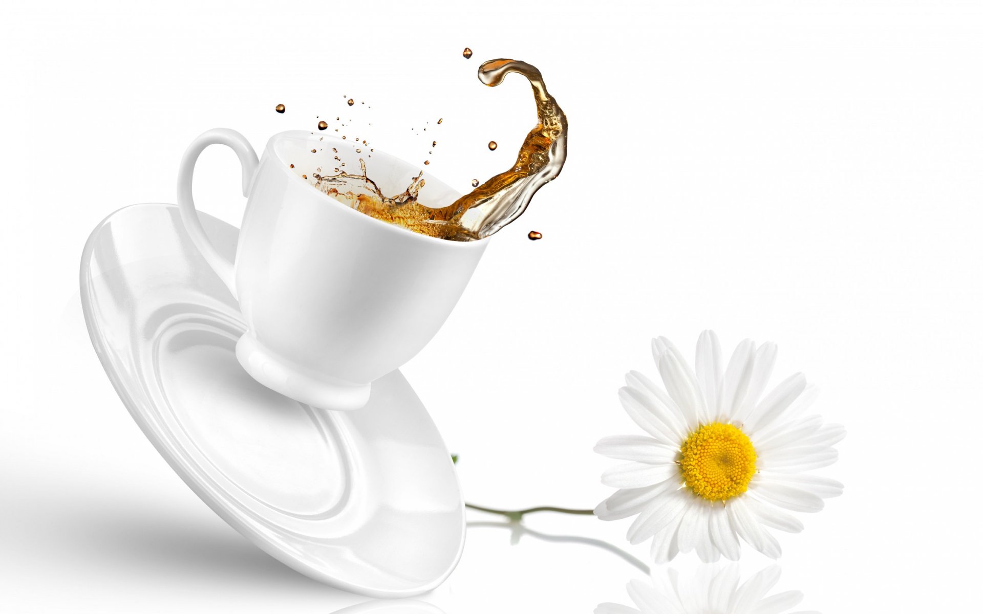 Refreshing Tea Splash with Delicate Daisy – HD Food Wallpaper